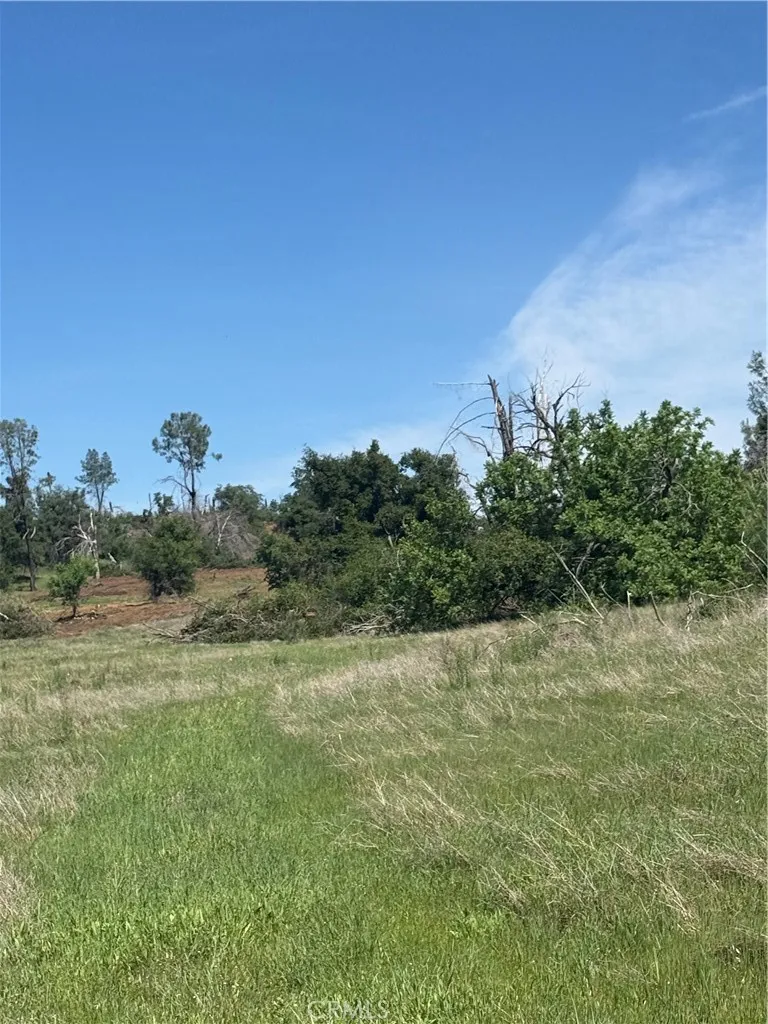 0 Round Valley Ranch Road Paradise, CA 95969 - Photo 27 of 33 a view of a yard with a tree