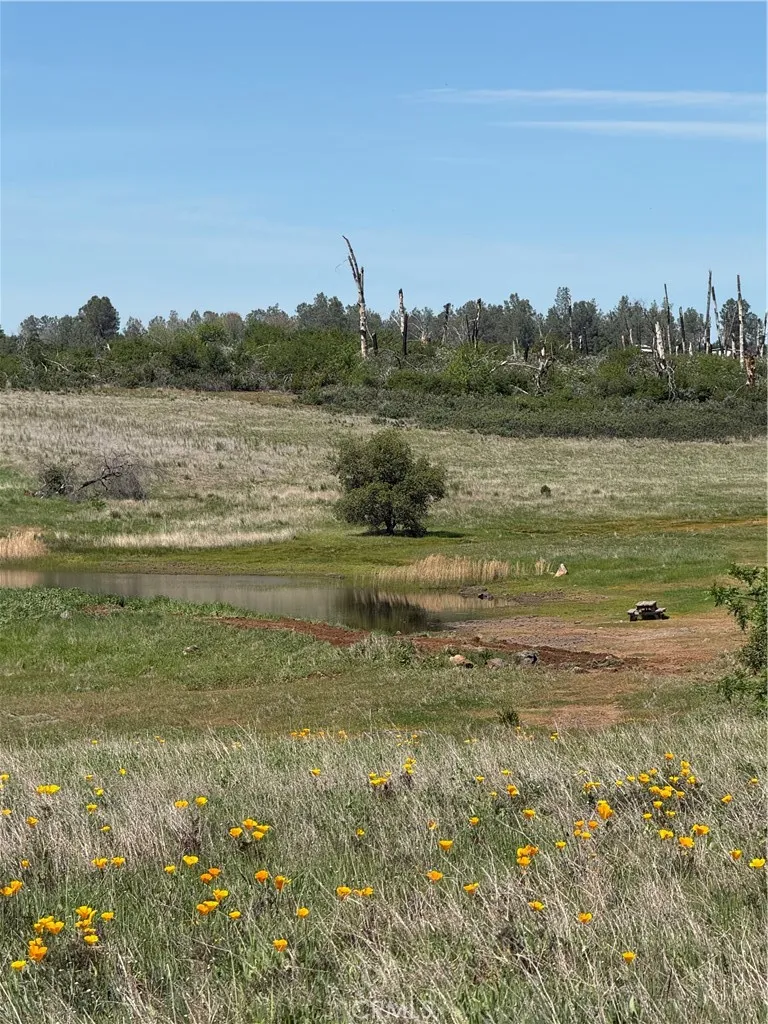 0 Round Valley Ranch Road Paradise, CA 95969 - Photo 30 of 33 a view of a lake with houses in the back