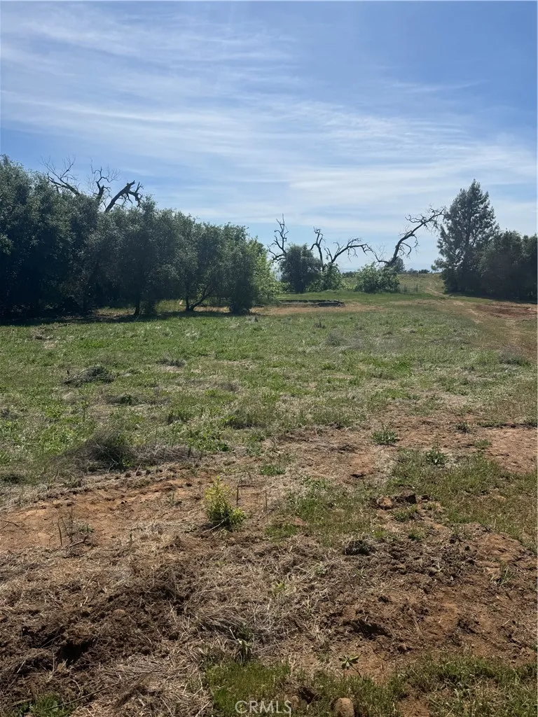 0 Round Valley Ranch Road Paradise, CA 95969 - Photo 33 of 33 a view of a field with an ocean