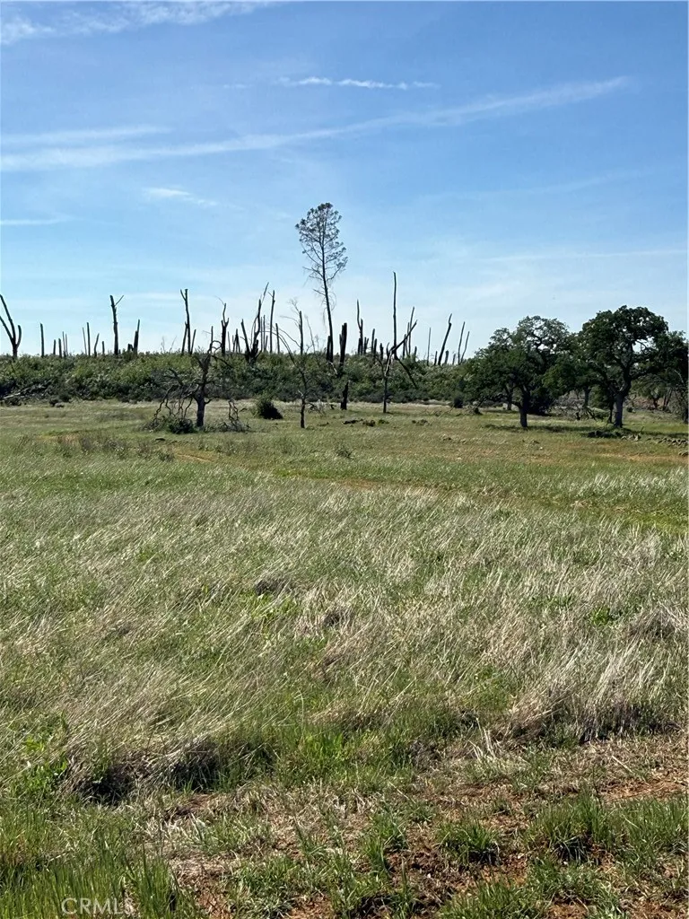 0 Round Valley Ranch Road Paradise, CA 95969 - Photo 4 of 33 a view of a field with trees in the background