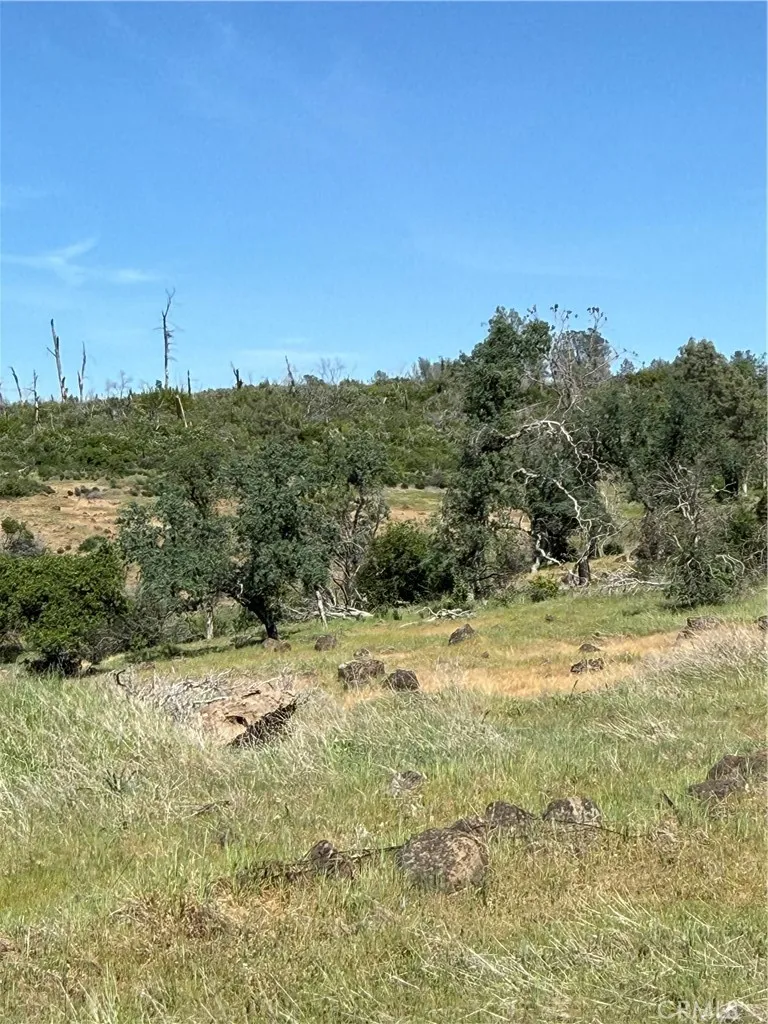 0 Round Valley Ranch Road Paradise, CA 95969 - Photo 5 of 33 a view of a dry yard with trees