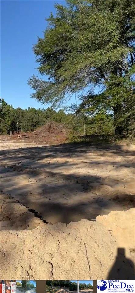 267 Harpe Hill Road Chesterfield, SC 29709 - Photo 1 of 1 Gallery Image 1
