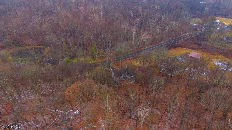 123 Vail Road Columbia, NJ 07832 - Photo 43 of 44 a view of a forest