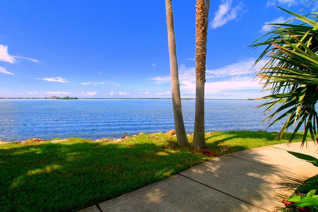 2538 Oakleaf Lane, Unit 33B Clearwater, FL 33763 - Photo 53 of 60