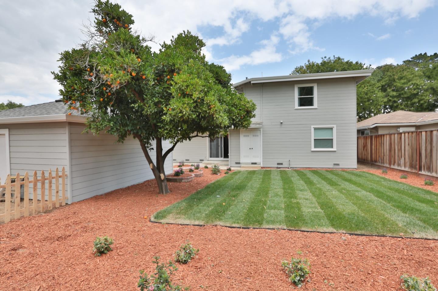 1663 Cross Way San Jose, CA 95125 - Photo 25 of 25 a backyard of a house with potted plants and large tree