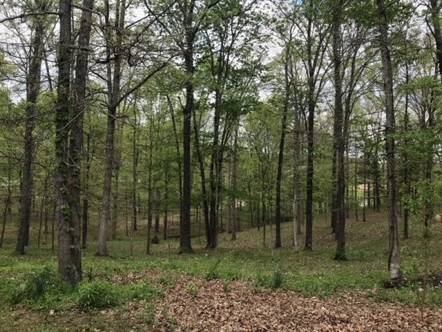 154 Ora Huff Road Bowling Green, KY 42101 - Photo 20 of 20 Gallery Image 20
