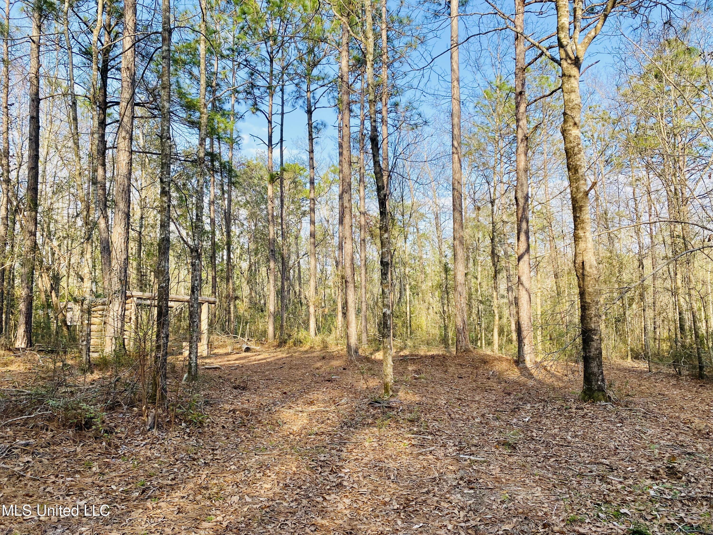 16450 Shaw Road Gulfport, MS 39503 - Photo 4 of 20 IMG_7373