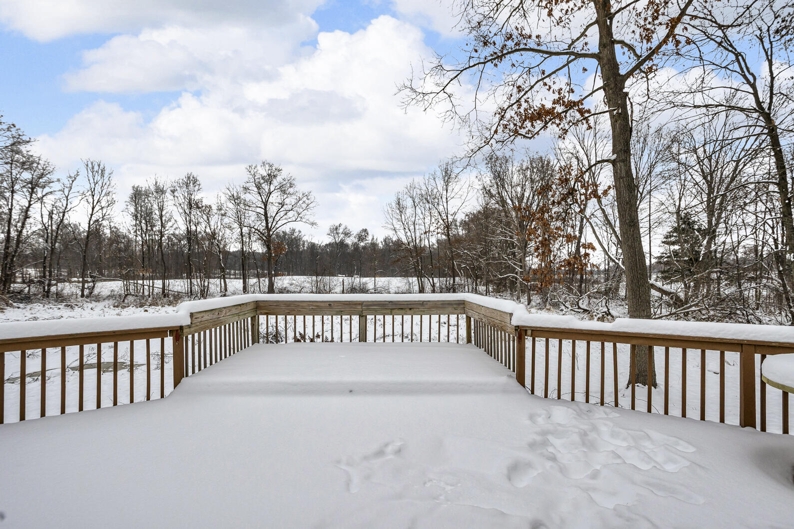 1860 East Liberty Road Clarklake, MI 49234 - Photo 3 of 36 0N0A2187