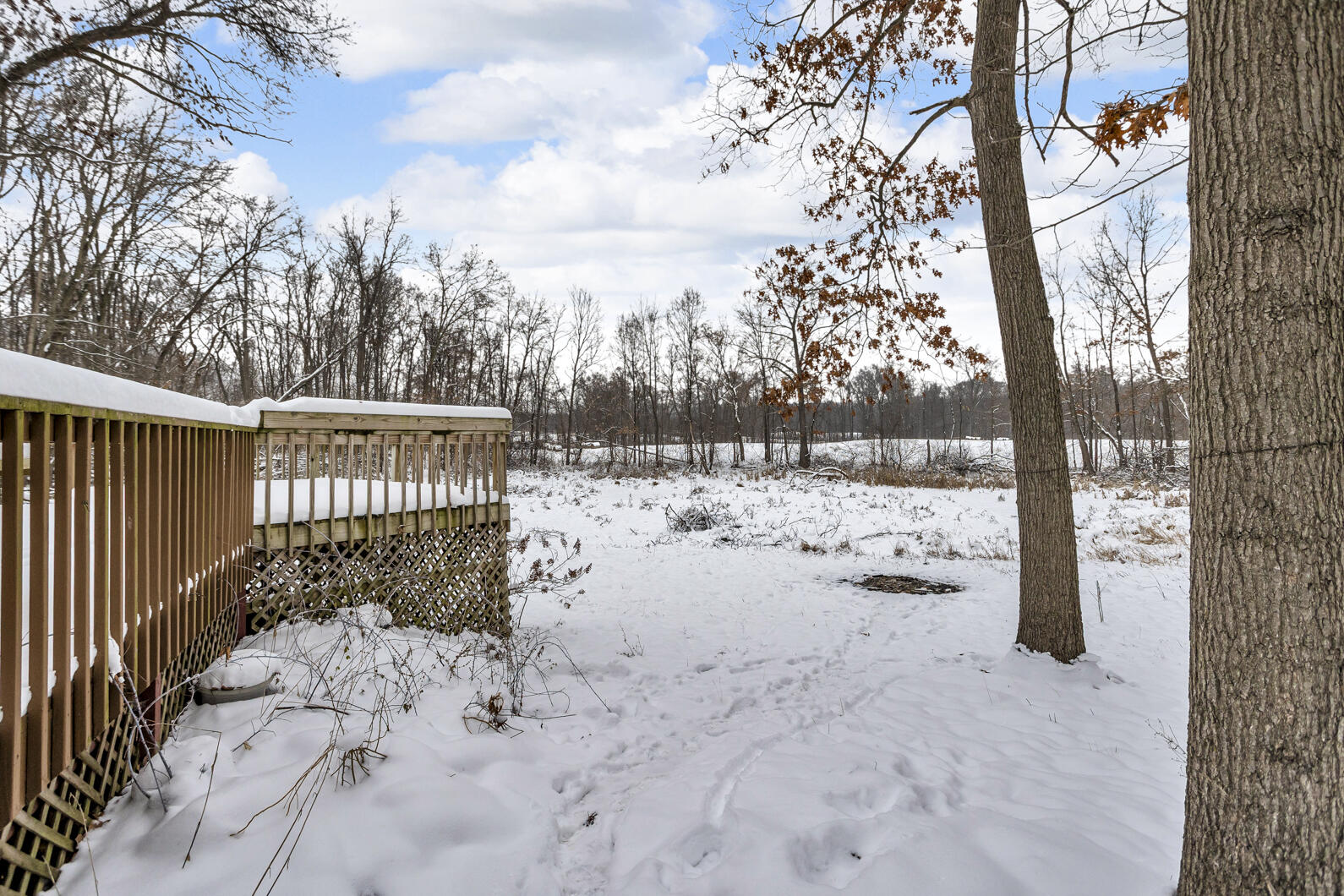 1860 East Liberty Road Clarklake, MI 49234 - Photo 34 of 36 0N0A2202