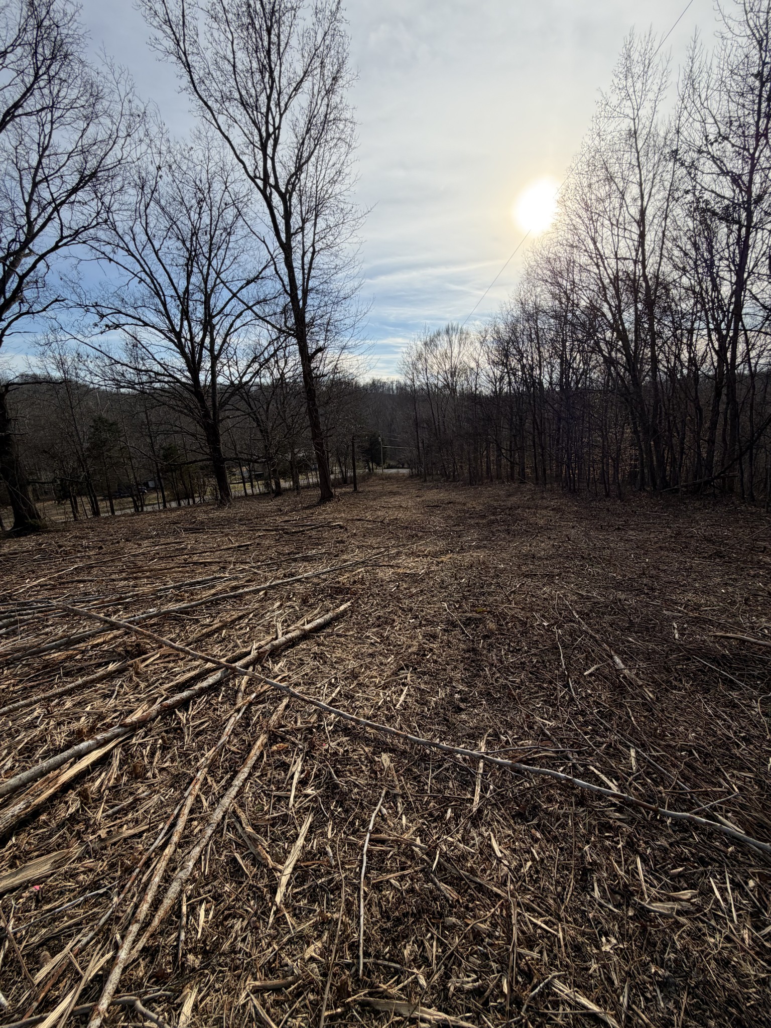 0 Macon Wall Road Ashland City, TN 37015 - Photo 4 of 9 a view of a yard