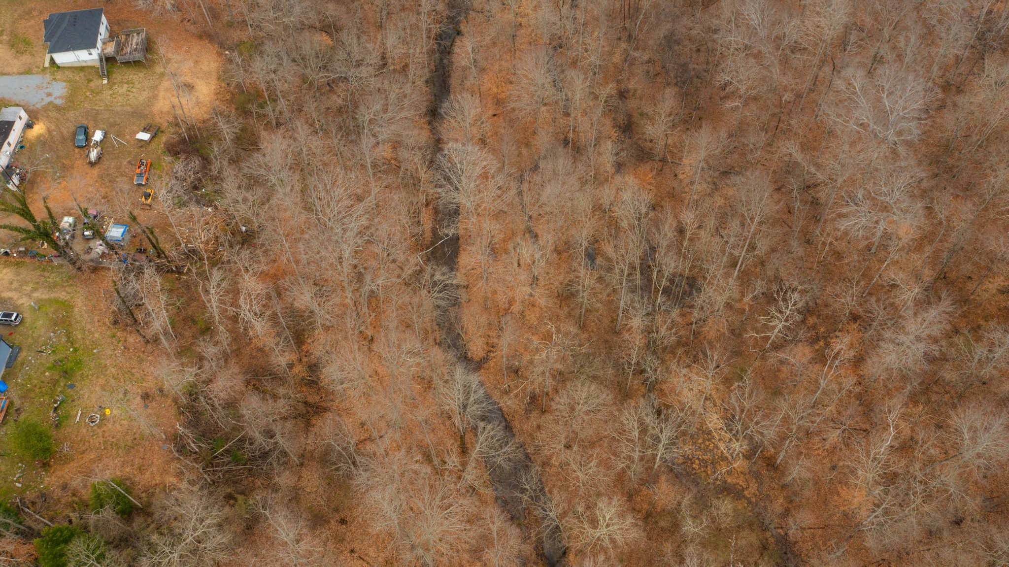 0 Macon Wall Road Ashland City, TN 37015 - Photo 5 of 9 a close view of yard