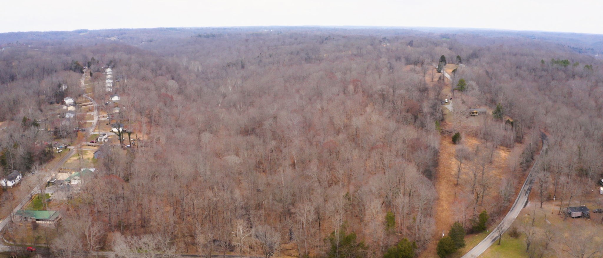 0 Macon Wall Road Ashland City, TN 37015 - Photo 9 of 9 a view of a yard