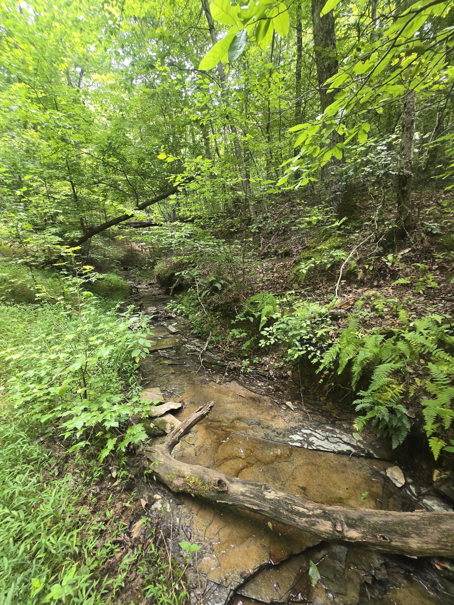 9999 Millstone Road Clay City, KY 40312 - Photo 16 of 17 1000019430