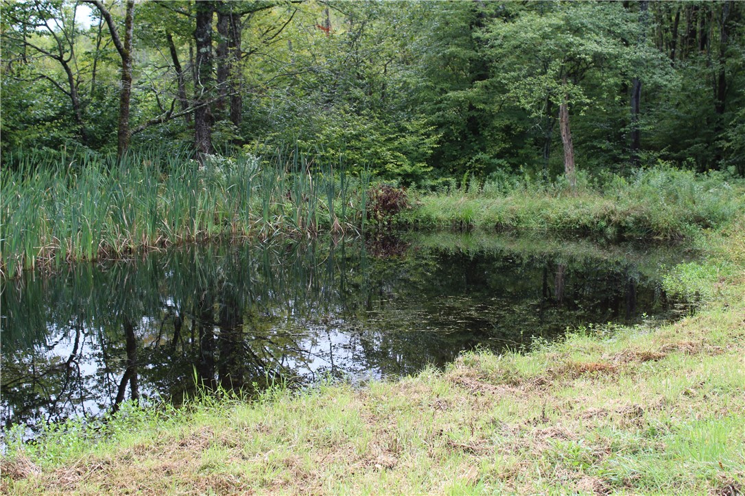 622 Bobs Brook Road Walton, NY 13856 - Photo 21 of 31