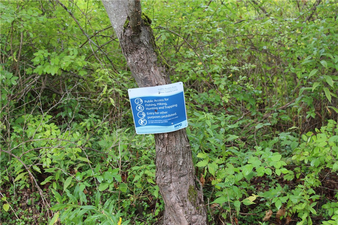 622 Bobs Brook Road Walton, NY 13856 - Photo 27 of 31