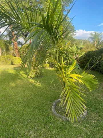 a view of an outdoor space