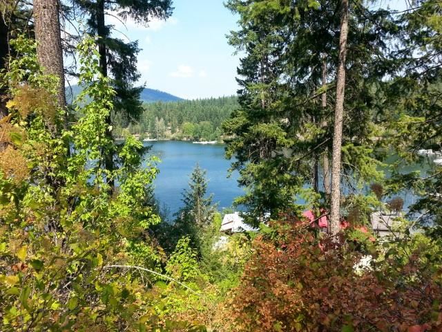 0 Larson Beach Road Loon Lake, WA 99148 - Photo 1 of 17