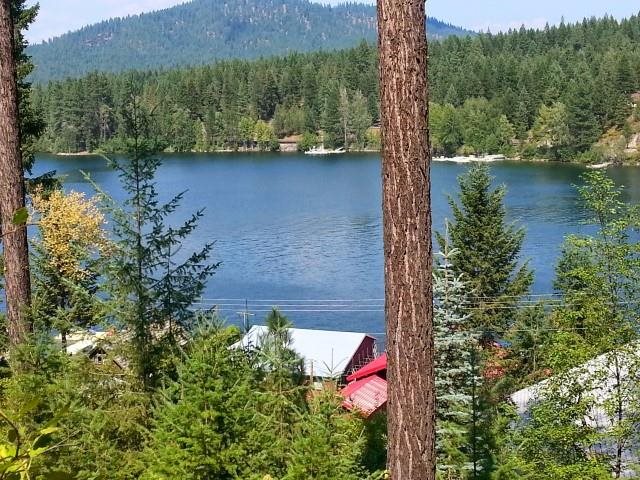 0 Larson Beach Road Loon Lake, WA 99148 - Photo 4 of 17
