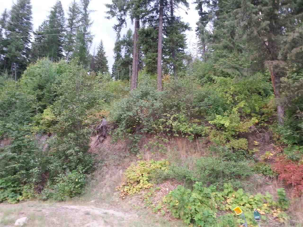 0 Larson Beach Road Loon Lake, WA 99148 - Photo 5 of 17