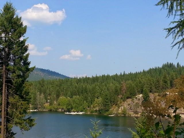 0 Larson Beach Road Loon Lake, WA 99148 - Photo 7 of 17