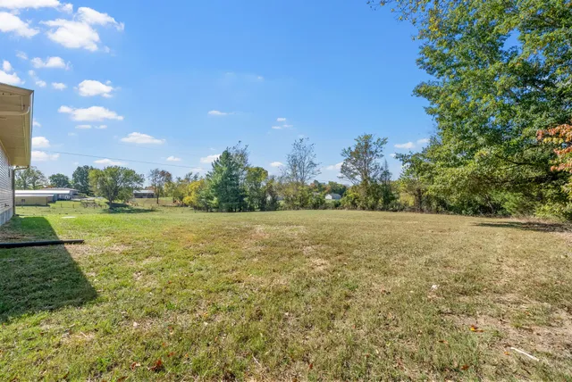 a view of a field with large trees