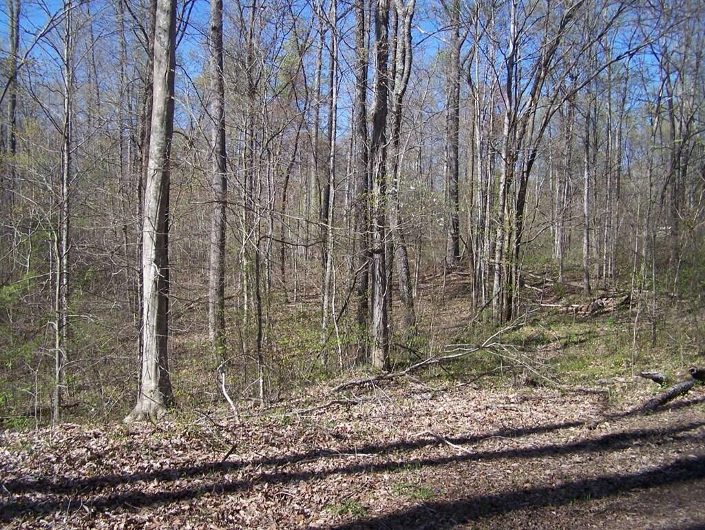 0 Robert Ridge Road Burkesville, KY 42717 - Photo 2 of 10 217782_1
