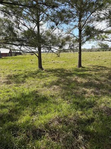 a view of yard with swimming pool and trees
