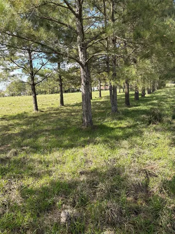 a view of yard with trees
