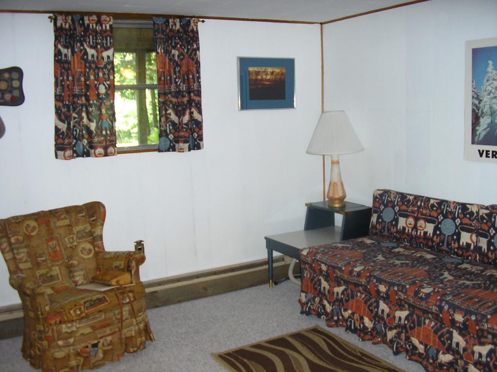 258 Bluebrook Road West Dover, VT 05356 - Photo 3 of 30