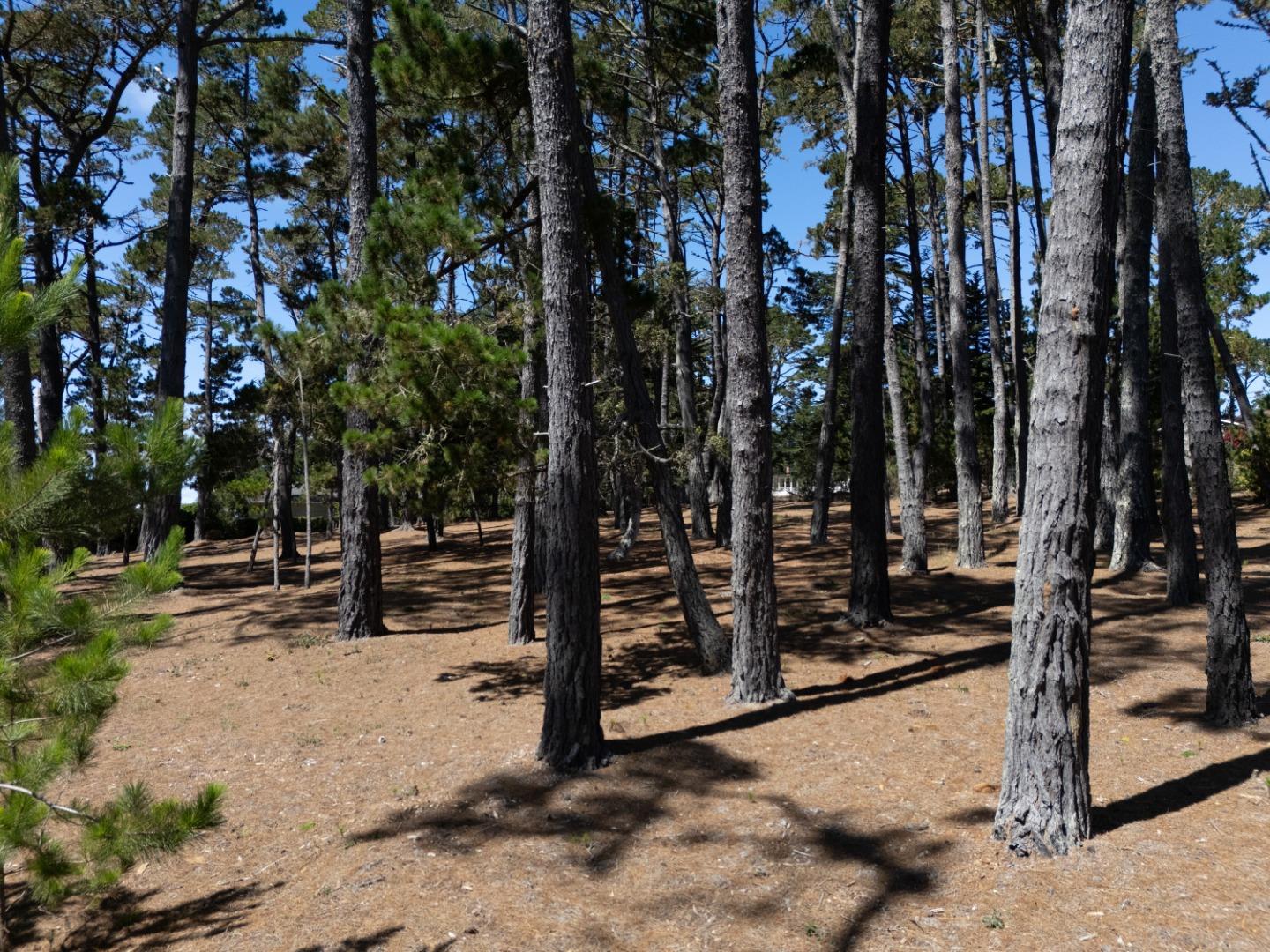 4045 Sunridge Road Pebble Beach, CA 93953 - Photo 13 of 15 Gallery Image 13
