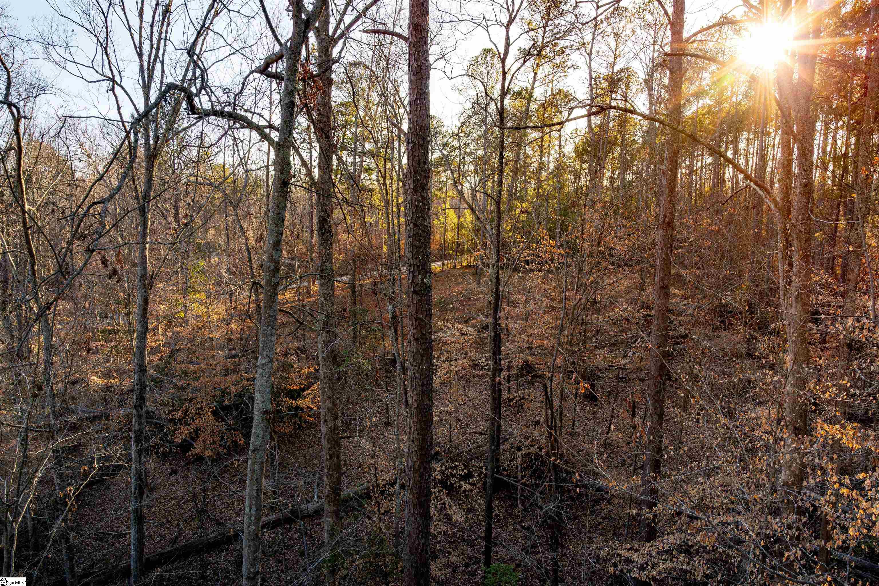 0 Guthrie Road, Unit LOT 5 Belton, SC 29627 - Photo 12 of 31 Gallery Image 12