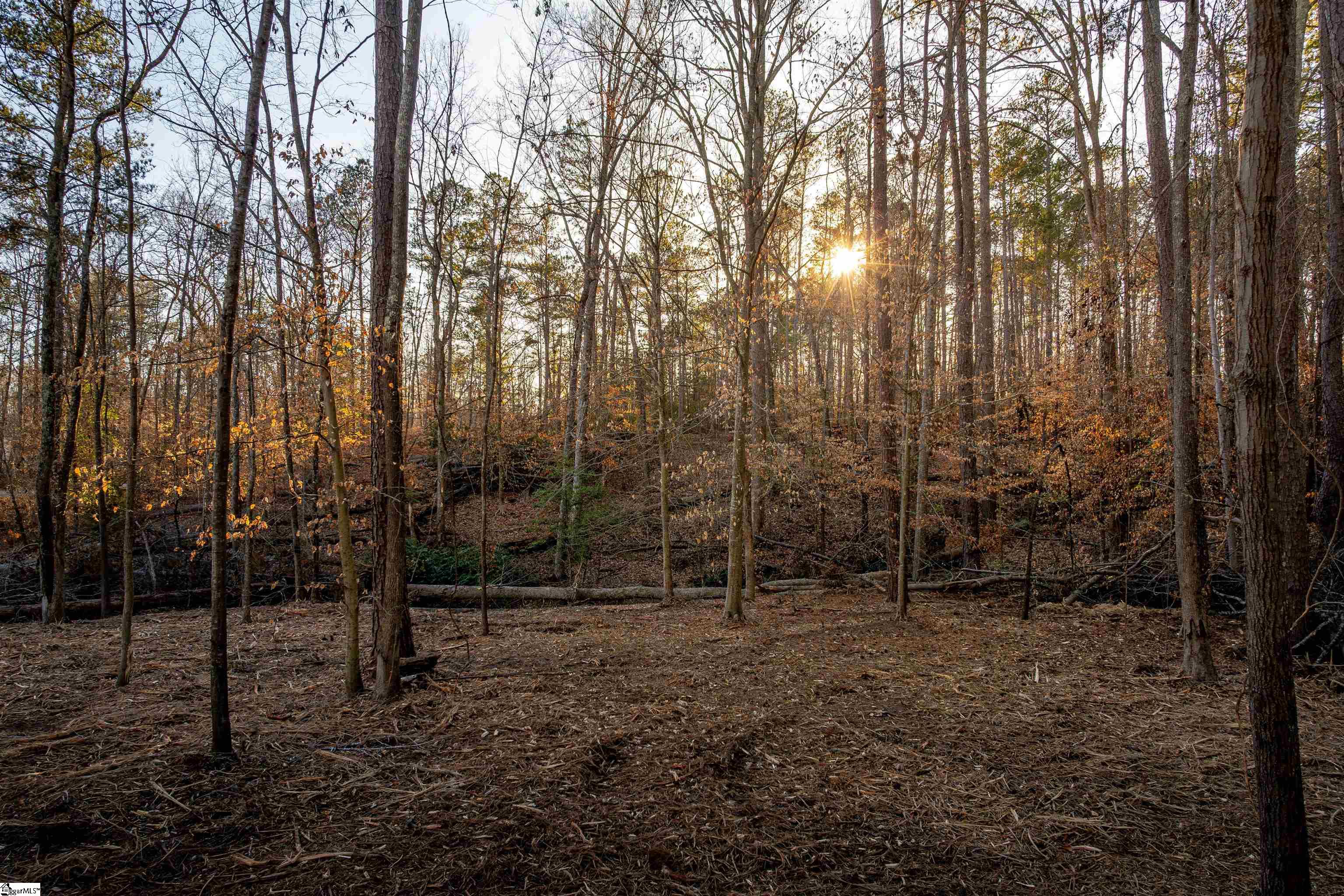 0 Guthrie Road, Unit LOT 5 Belton, SC 29627 - Photo 15 of 31 Gallery Image 15