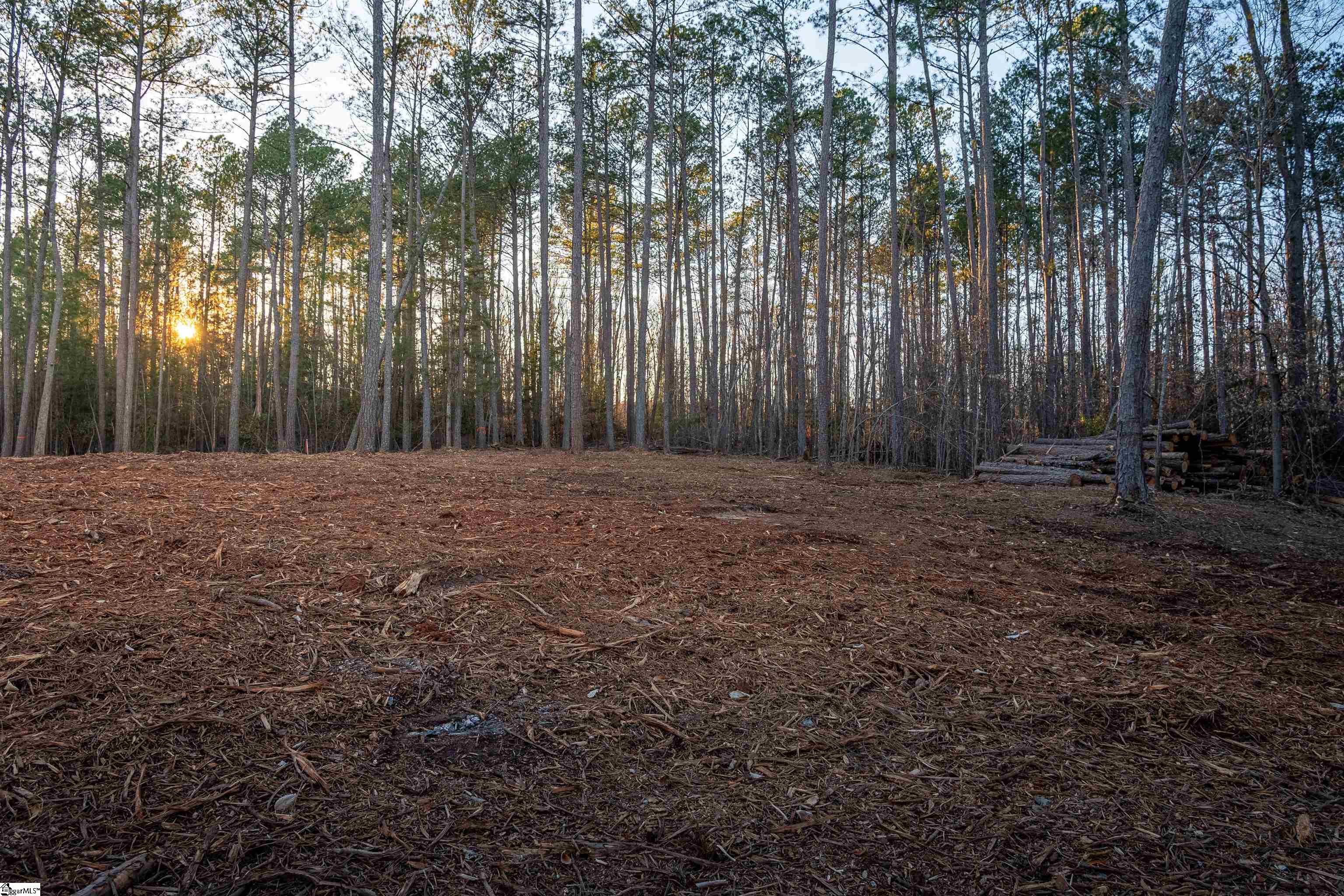 0 Guthrie Road, Unit LOT 5 Belton, SC 29627 - Photo 23 of 31 Gallery Image 23
