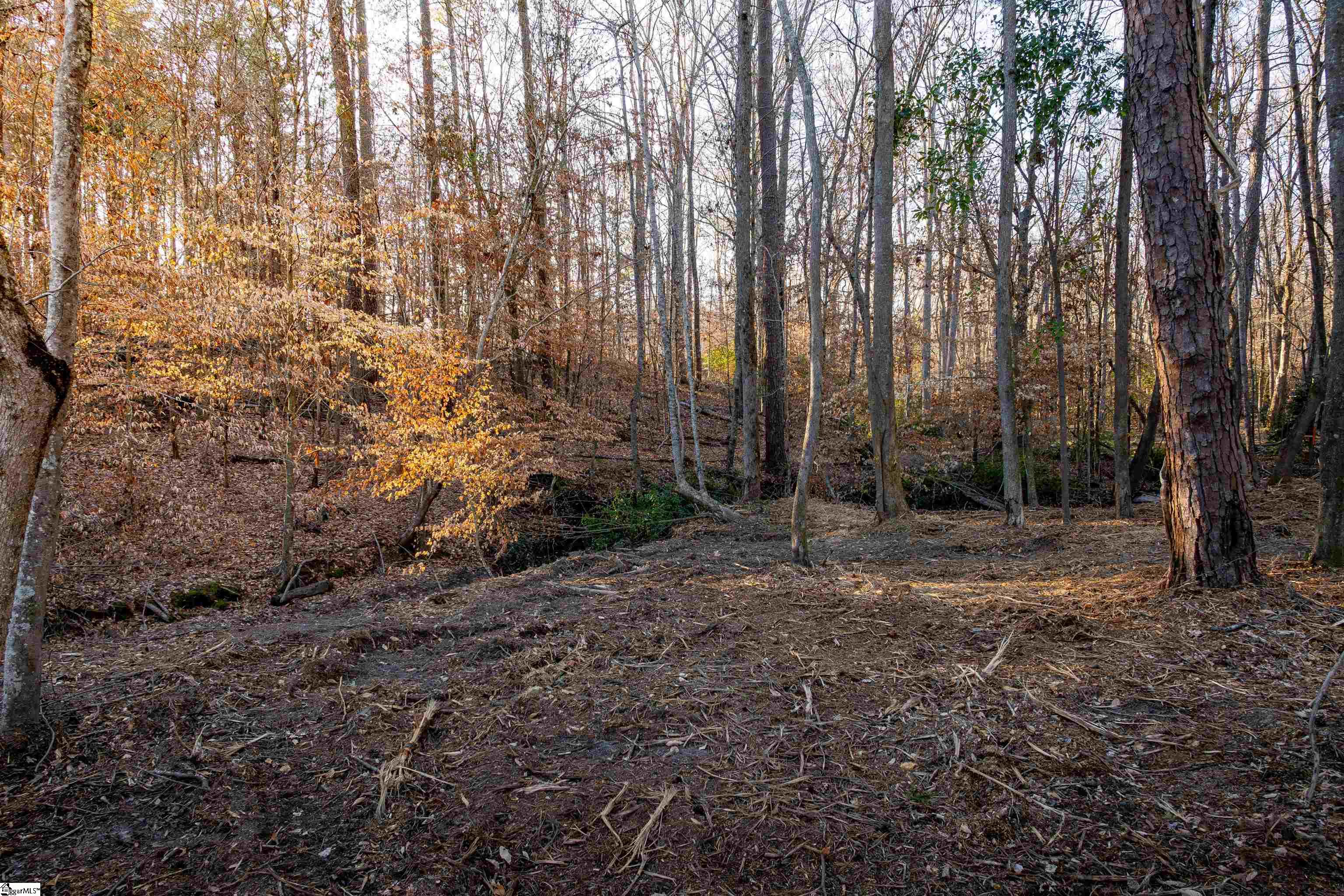 0 Guthrie Road, Unit LOT 5 Belton, SC 29627 - Photo 10 of 31 Gallery Image 10