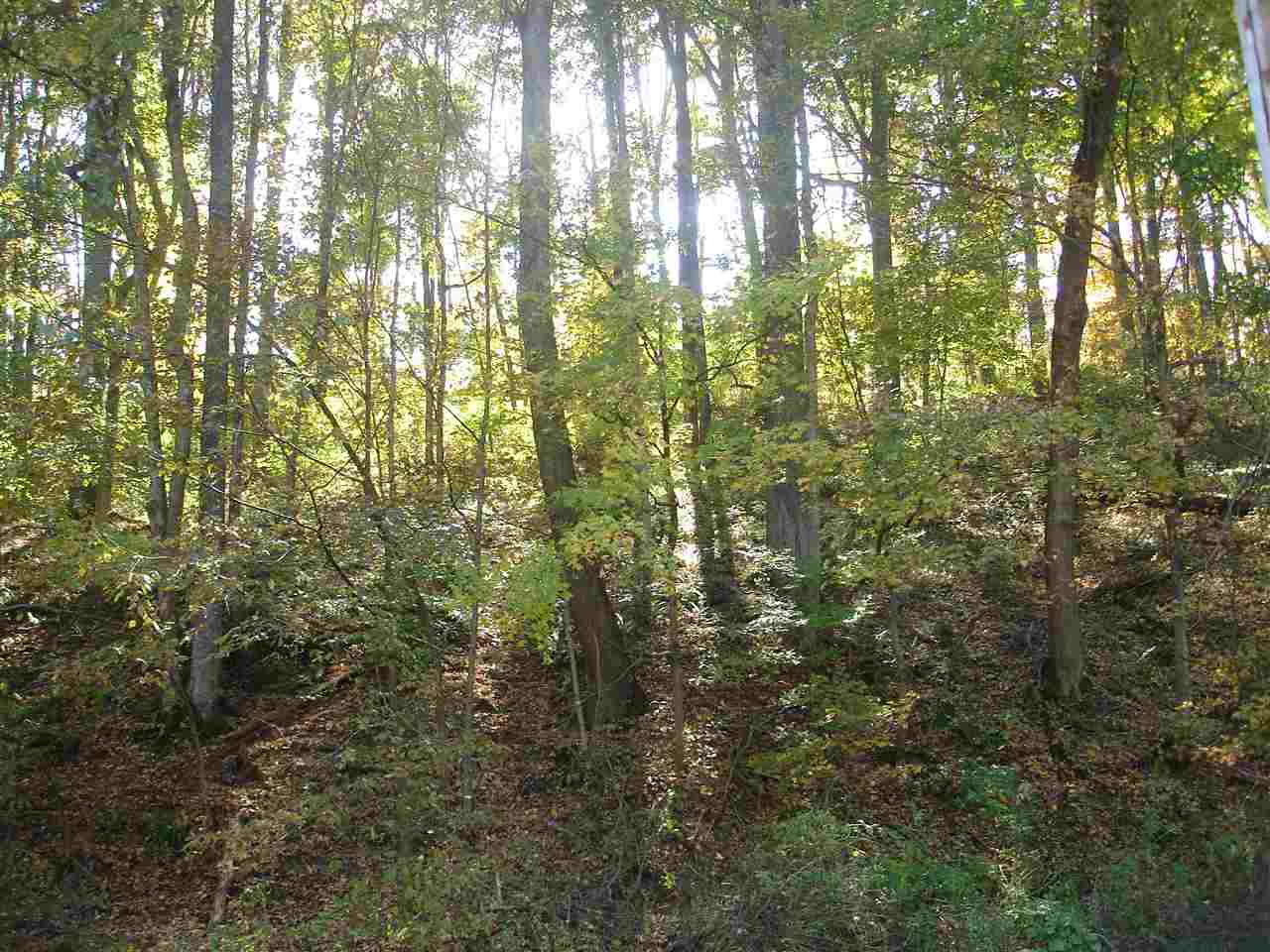 550 State Rd Shoals Shoals, IN 47581 - Photo 3 of 4