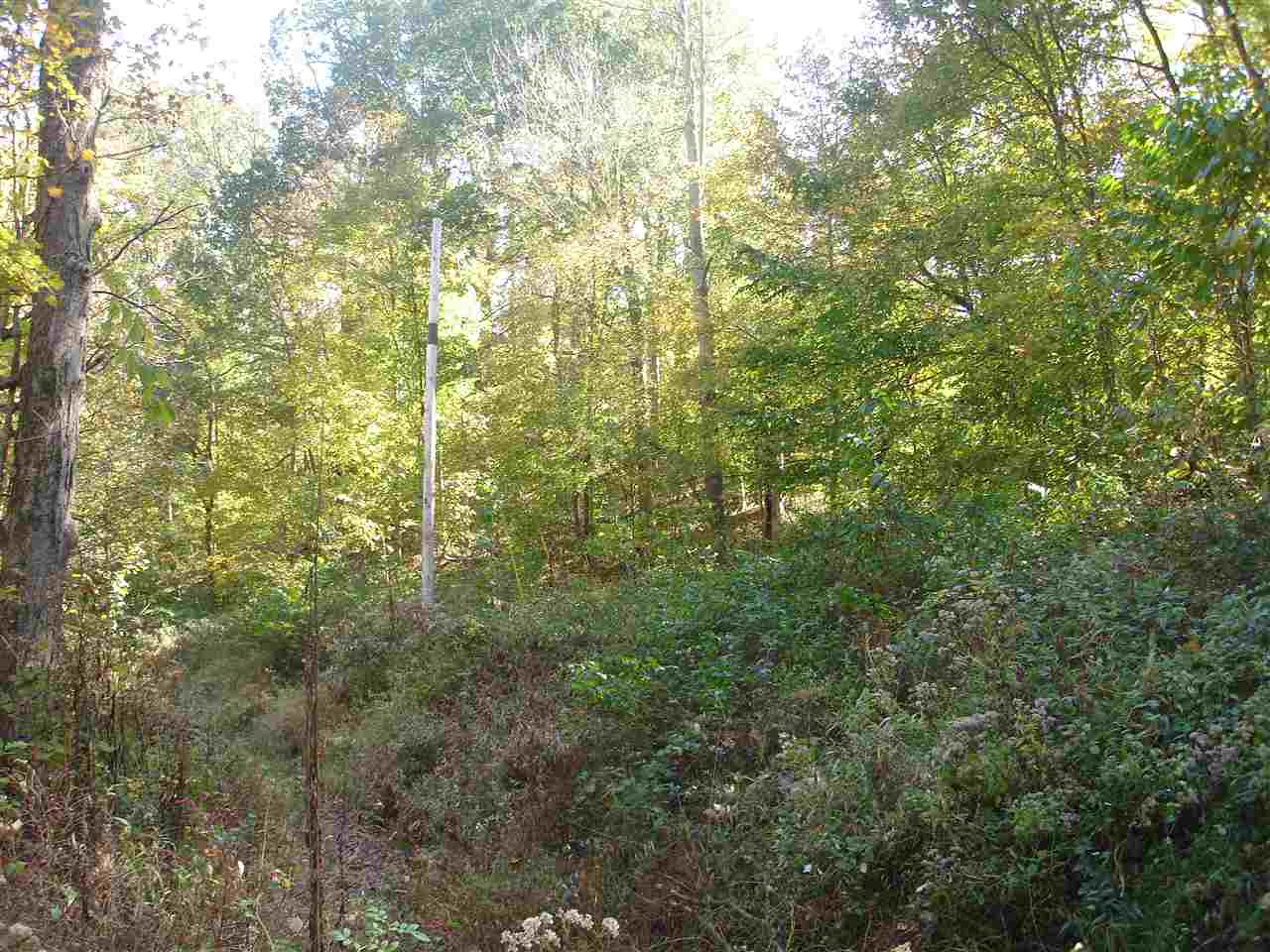 550 State Rd Shoals Shoals, IN 47581 - Photo 4 of 4