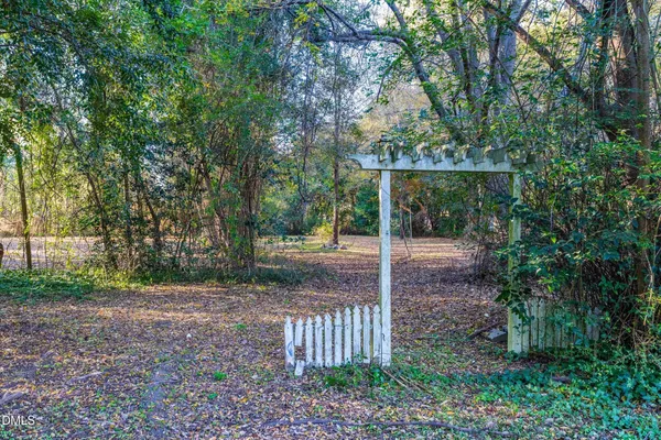 a view of a yard with a tree