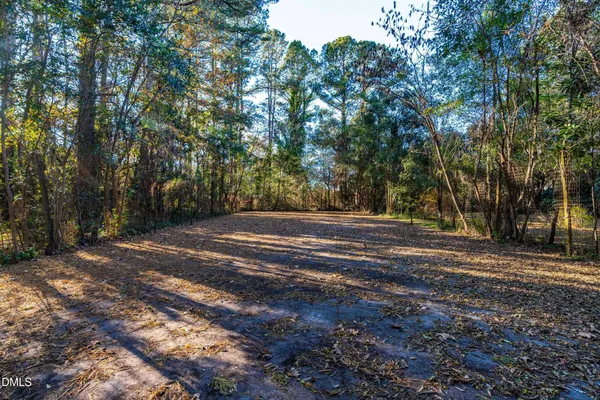 a view of backyard space with large trees