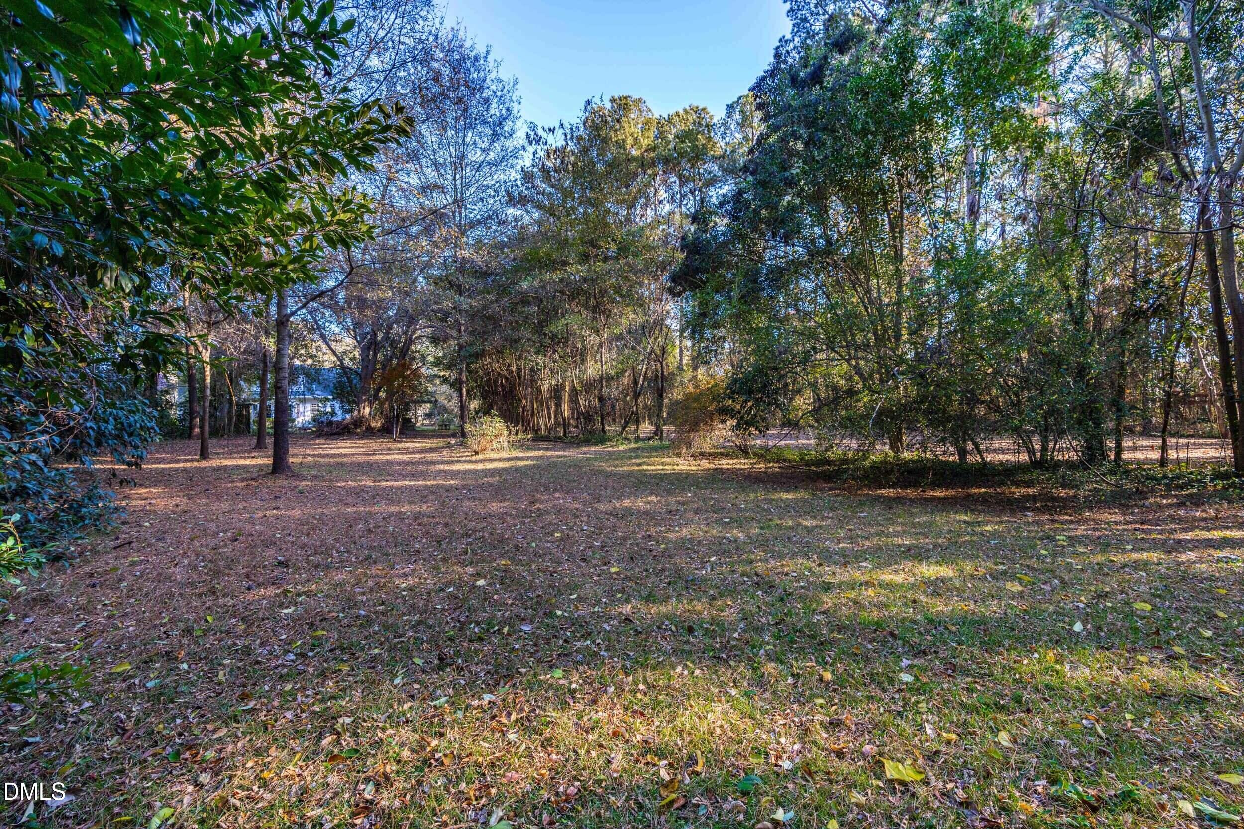 705 Wilsons Mills Road Smithfield, NC 27577 - Photo 31 of 35 Backyard