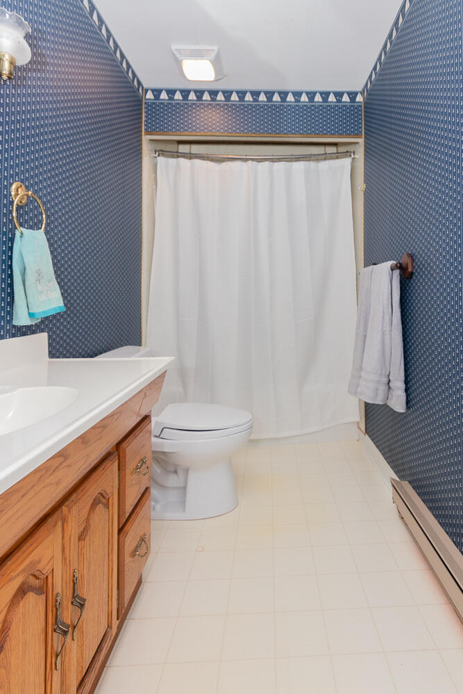 83362 Fritz Drive Decatur, MI 49045 - Photo 21 of 34 Bath a