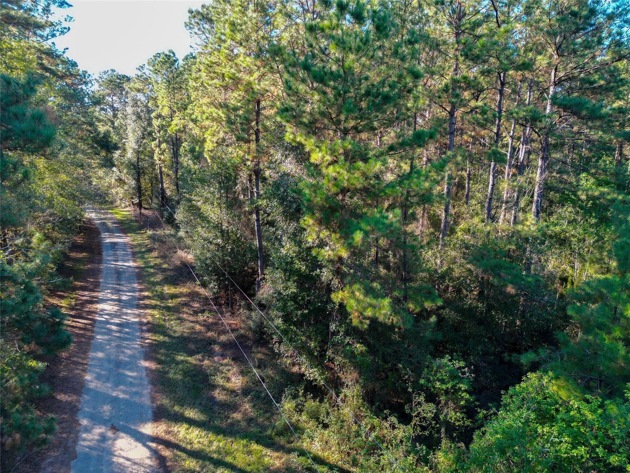 0 County Road 2125 Cleveland, TX 77327 - Photo 12 of 15