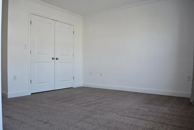 a bathroom with a shower curtain and a toilet