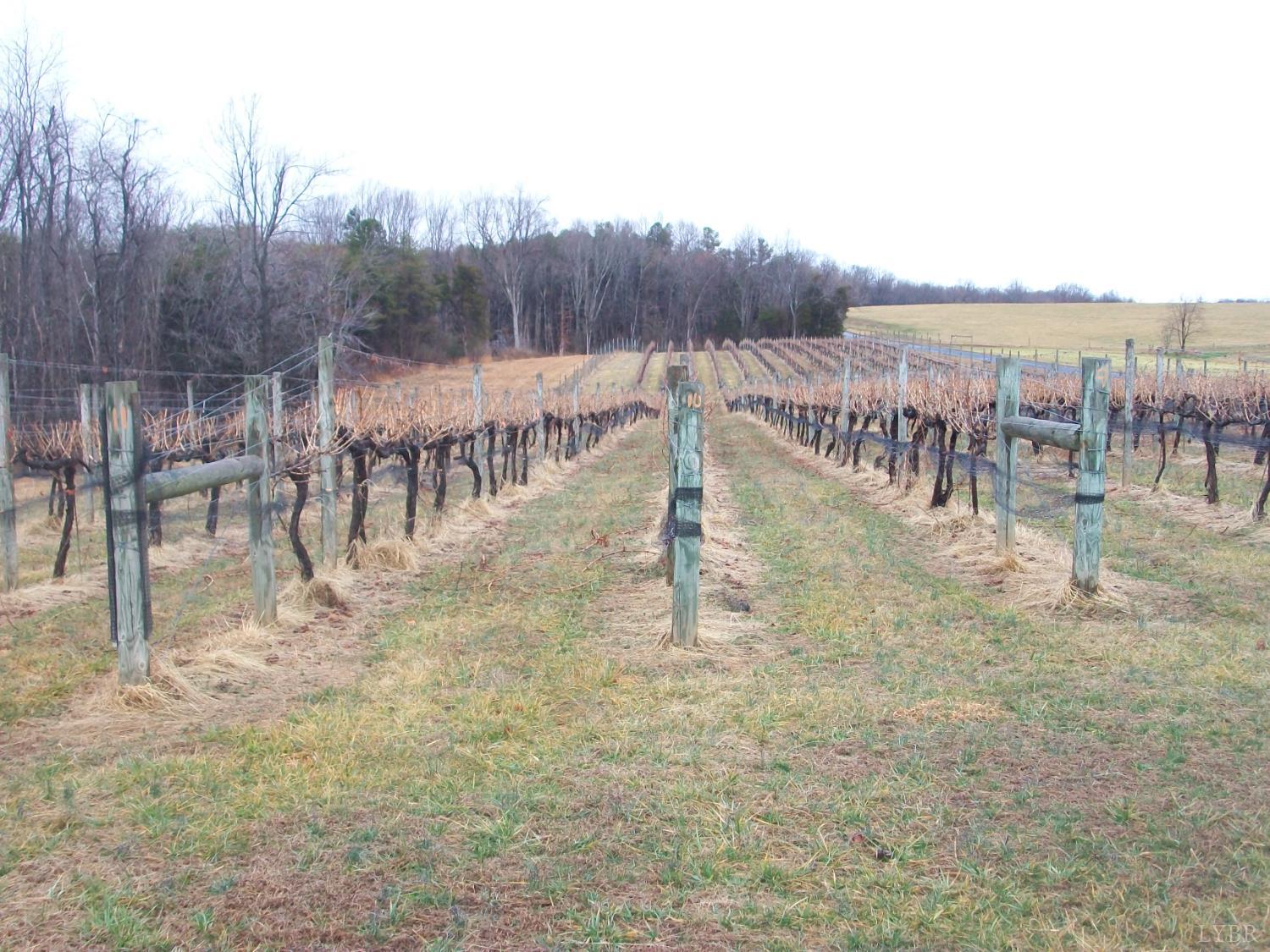 1220 Gap Road Chatham, VA 24531 - Photo 1 of 24 Gallery Image 1