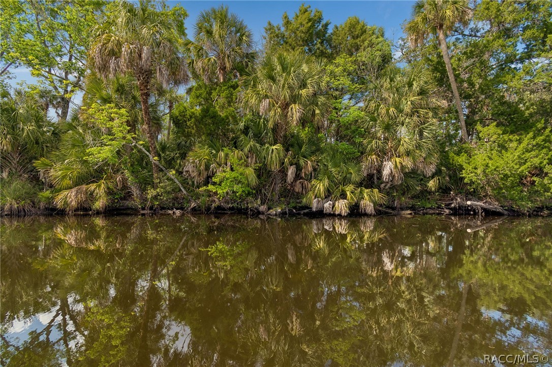 10039 West Halls River Road Homosassa, FL 34448 - Photo 38 of 47 Gallery Image 38