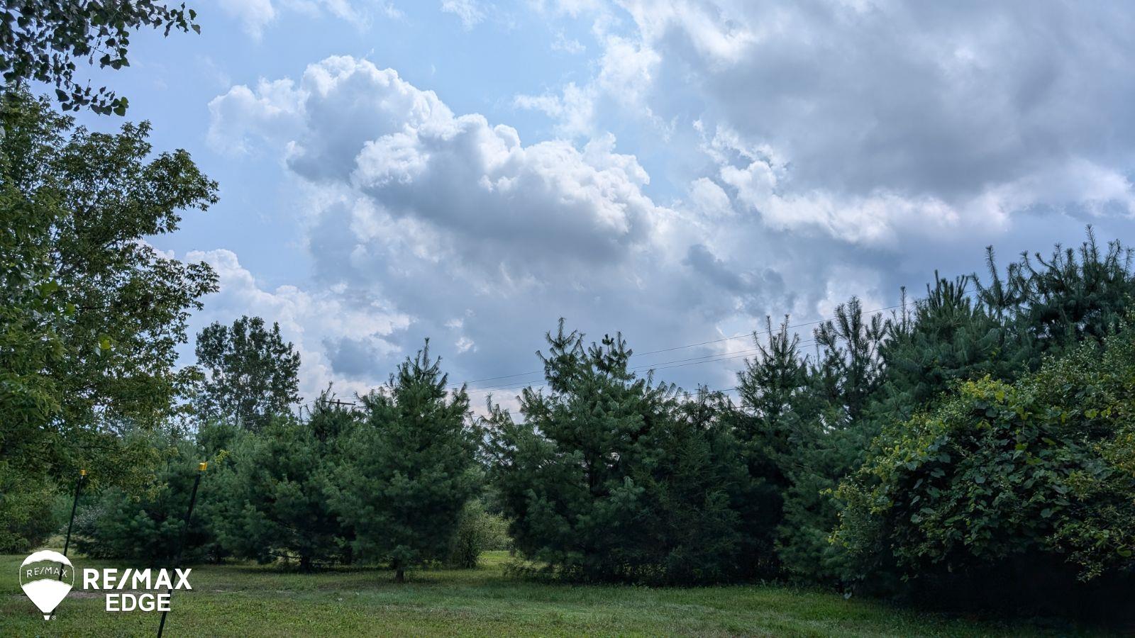 0 Maple Leaf Road Lapeer, MI 48446 - Photo 2 of 13