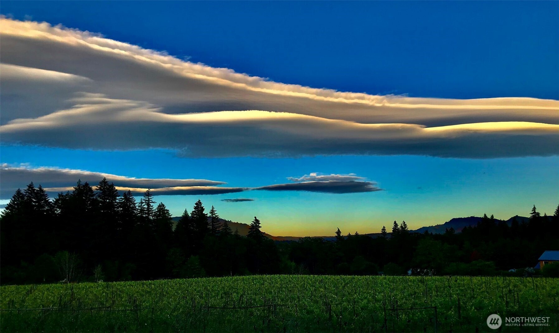 391 Newell Road Underwood, WA 98651 - Photo 15 of 22