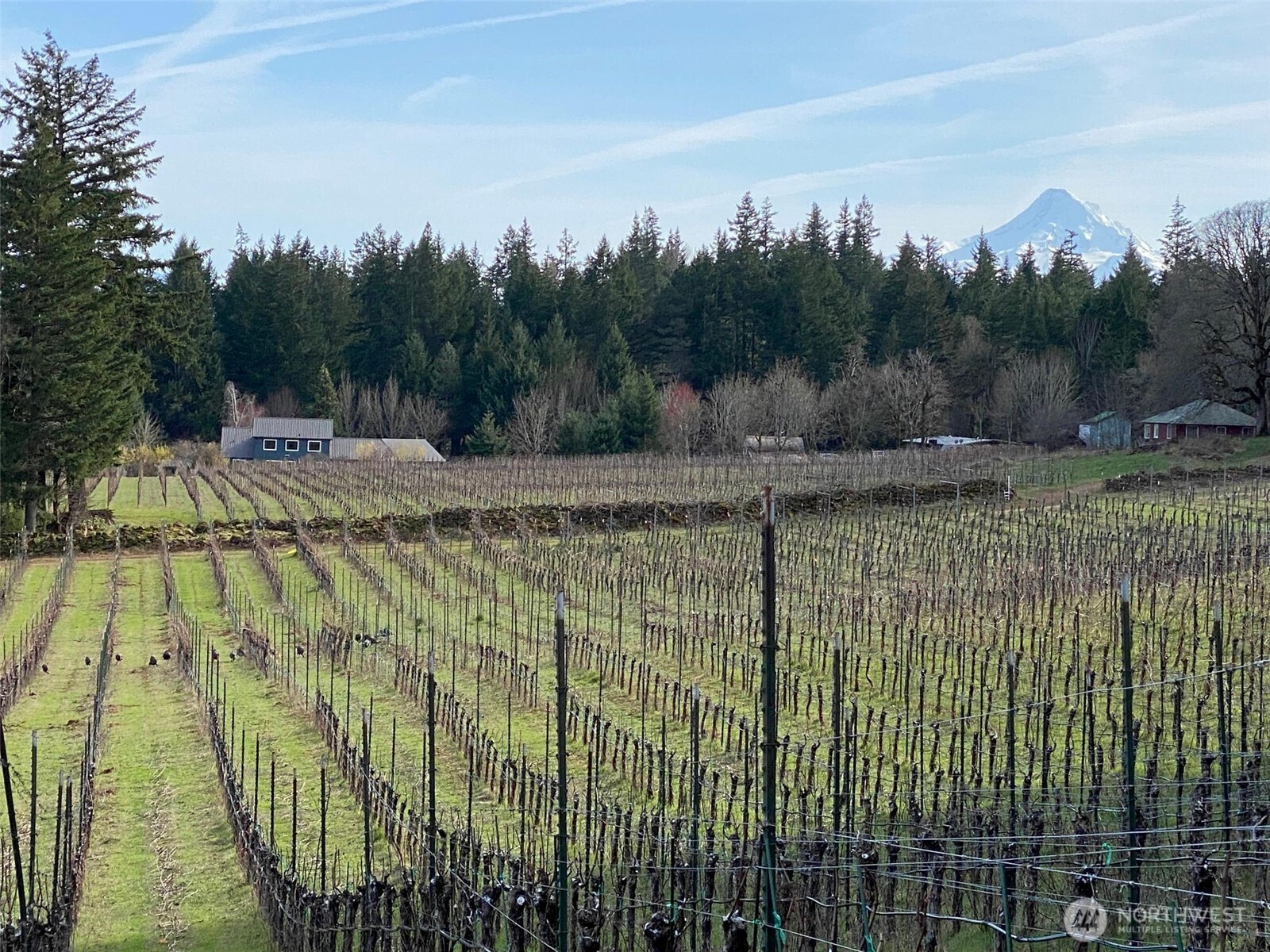 391 Newell Road Underwood, WA 98651 - Photo 16 of 22