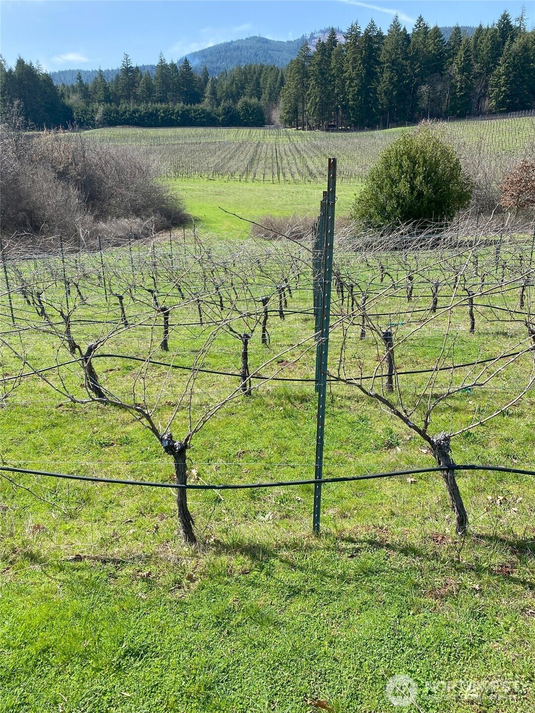 391 Newell Road Underwood, WA 98651 - Photo 22 of 22