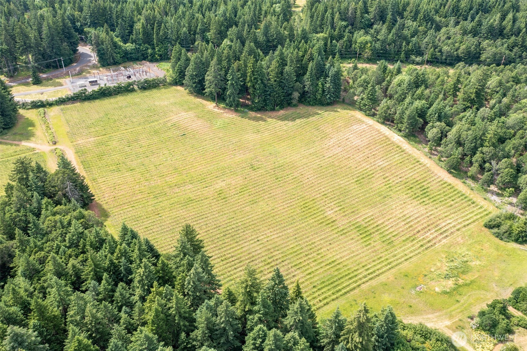 391 Newell Road Underwood, WA 98651 - Photo 3 of 22