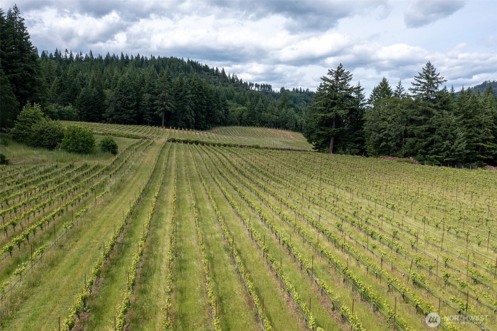 391 Newell Road Underwood, WA 98651 - Photo 8 of 22